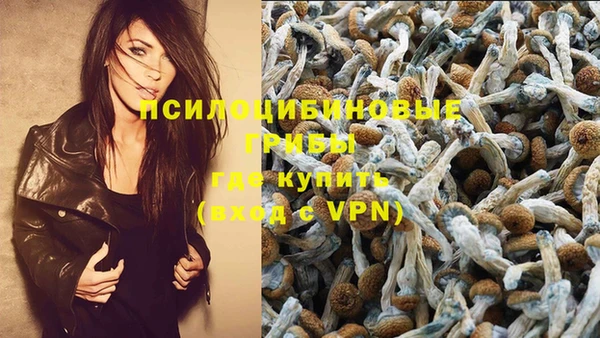 мдпв Беломорск